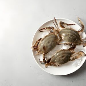 Sea Crab