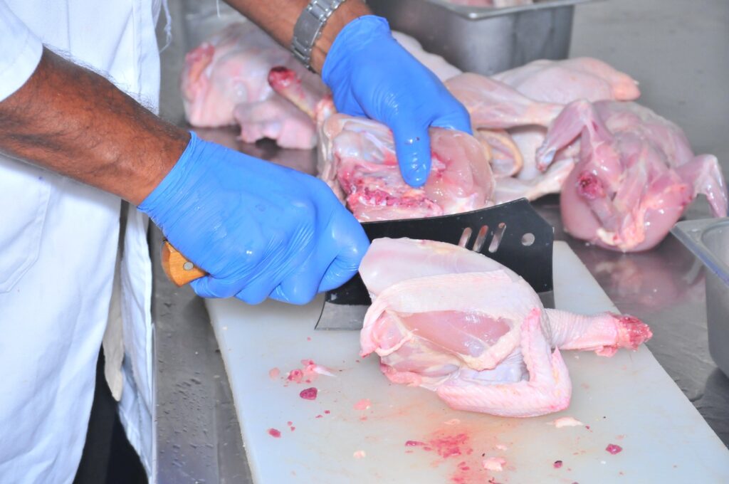 WhatsApp Image 2025-12-21 at 12.47.04 PM (5)